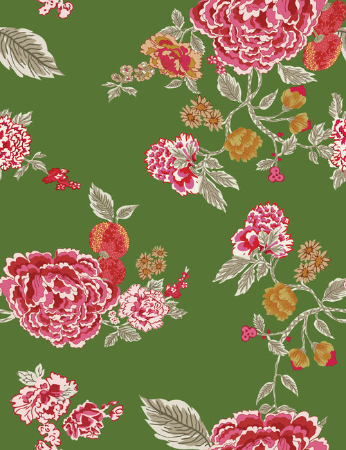 Evergreen peony